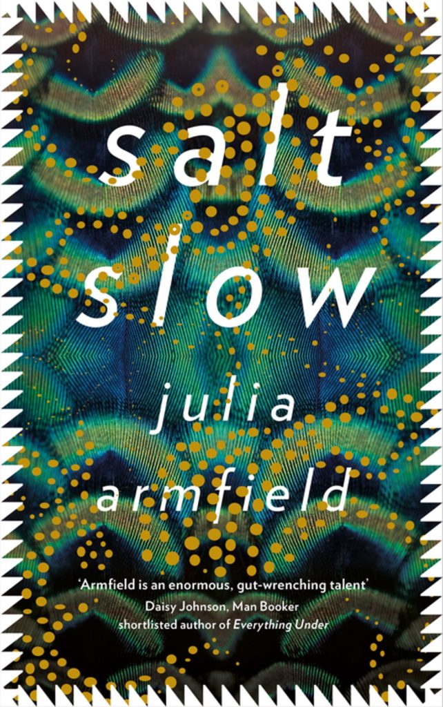 Salt Slow, Julia Armfield: