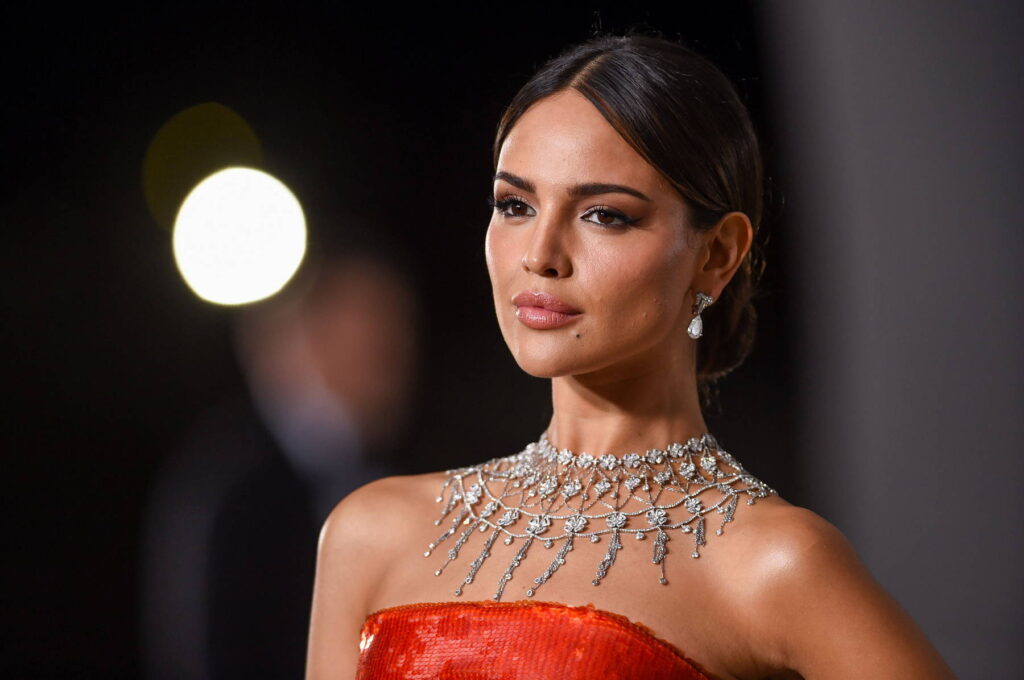 Academy Museum Gala 5 looks de alfombra roja