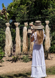 Proceso de secado de la curagua